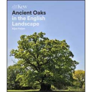 ANCIENT OAKS IN THE ENGLISH LANDSCAPE