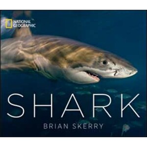 SHARK