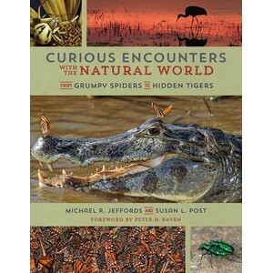 CURIOUS ENCOUNTERS WITH THE NATURAL WORLD. FROM GRUMPY SPIDERS TO HIDDEN TIGERS