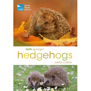 RSPB SPOTLIGHT: HEDGEHOGS 1