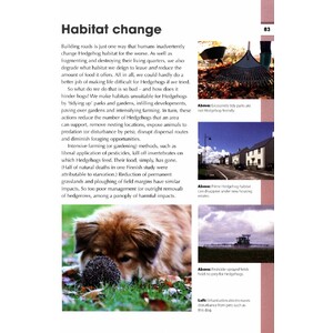 RSPB SPOTLIGHT: HEDGEHOGS 2