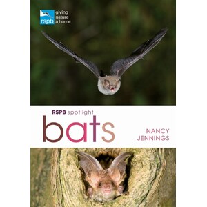 RSPB SPOTLIGHT: BATS