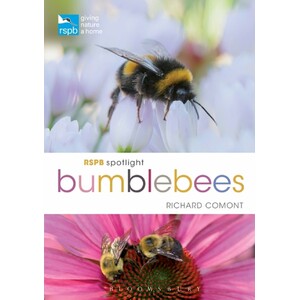 RSPB SPOTLIGHT: BUMBLEBEES