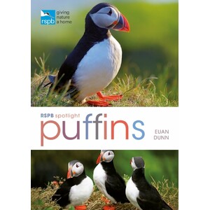 RSPB SPOTLIGHT: PUFFINS