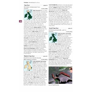 FIELD GUIDE TO THE MOTHS OF GREAT BRITAIN AND IRELAND 5