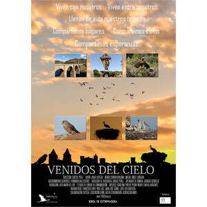 DVD VENIDOS DEL CIELO