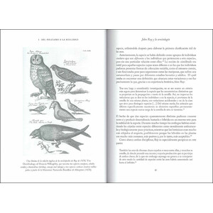 LA SABIDURIA DE LAS AVES 3