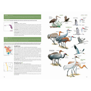 NATIONAL GEOGRAPHIC FIELD GUIDE TO THE BIRDS OF THE UNITED STATES AND CANADA 3