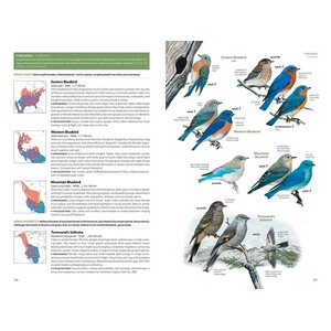 NATIONAL GEOGRAPHIC FIELD GUIDE TO THE BIRDS OF THE UNITED STATES AND CANADA 4
