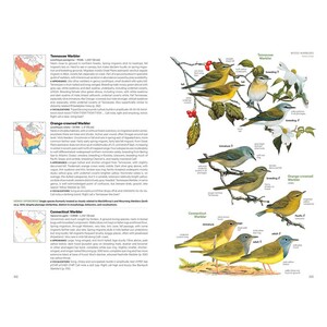 NATIONAL GEOGRAPHIC FIELD GUIDE TO THE BIRDS OF THE UNITED STATES AND CANADA 5