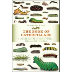 THE BOOK OF CATERPILLARS. A LIFE-SIZE GUIDE TO SIX HUNDRED SPECIES FROM AROUND THE WORLD