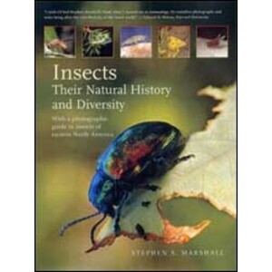 INSECTS. THEIR NATURAL HISTORY AND DIVERSITY