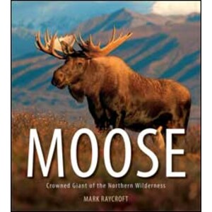MOOSE. CROWNED GIANT OF THE NORTHERN WILDERNESS