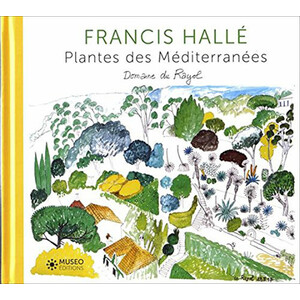 FRANCIS HALLÉ. PLANTES DES MÉDITERRANÉES