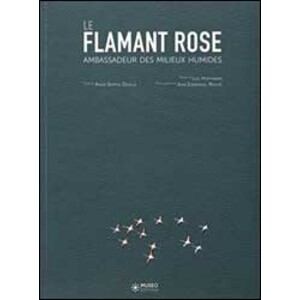 LE FLAMANT ROSE, AMBASSADEUR DES MILIEUX HUMIDES