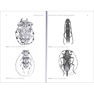 CERAMBYCIDAE OF THE WORLD: BIOLOGY AND PEST MANAGEMENT_1