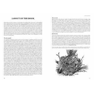 HELM IDENTIFICATION GUIDES. ANTPITTAS AND GNATEATERS_1