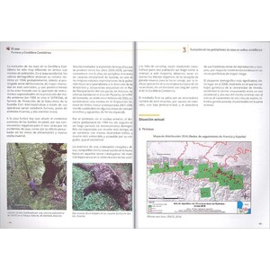 EL OSO. PIRINEOS Y CORDILLERA CANTÁBRICA. CUADERNO DE CAMPO Y CONSERVACIÓN_1