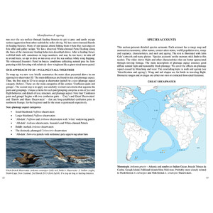 MULTIMEDIA IDENTIFICATION GUIDE TO NORTH ATLANTIC SEABIRDS. SHEARWATERS. JOUANIN'S &AMP; WHITE-CHINNED PETRELS 3