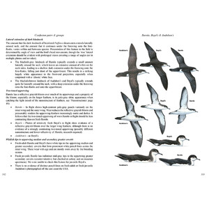 MULTIMEDIA IDENTIFICATION GUIDE TO NORTH ATLANTIC SEABIRDS. SHEARWATERS. JOUANIN'S &AMP; WHITE-CHINNED PETRELS 5