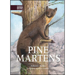 PINE MARTENS