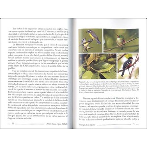 EL JUEGO DE LAS ESPECIES 3