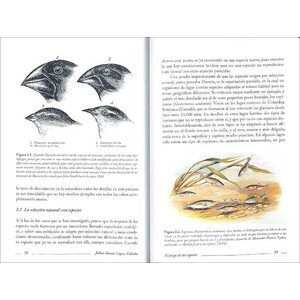EL JUEGO DE LAS ESPECIES 4