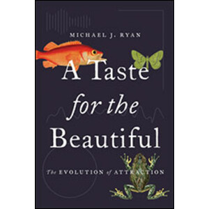 A TASTE FOR THE BEAUTIFUL. THE EVOLUTION OF ATTRACTION