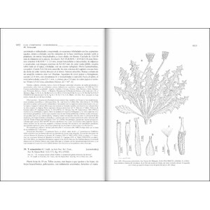 FLORA IBÉRICA. VOL. XVI (II) COMPOSITAE (PARTIM) 3