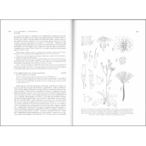 FLORA IBÉRICA. VOL. XVI (II) COMPOSITAE (PARTIM) 4