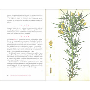 EL PAÍS DE LOS PÁJAROS QUE DUERMEN EN EL AIRE_1