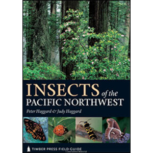 INSECTS OF THE PACIFIC NORTHWEST