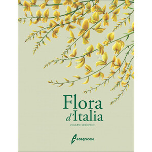 FLORA D'ITALIA VOLUME SECONDO