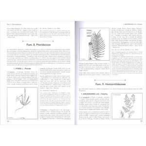 FLORA D'ITALIA VOLUME SECONDO 3