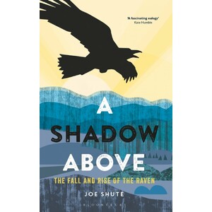 A SHADOW ABOVE. THE FALL AND RISE OF THE RAVEN