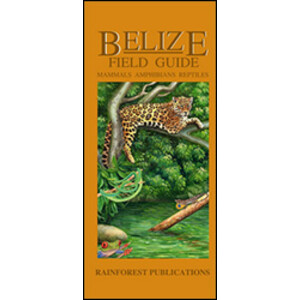 BELIZE WILDLIFE GUIDE. MAMMALS, AMPHIBIANS, REPTILES