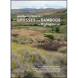 IDENTIFICATION GUIDE TO GRASSES AND BAMBOOS IN MADAGASCAR