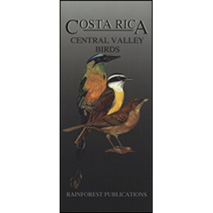 COSTA RICA. CENTRAL VALLEY BIRDS