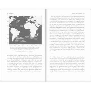 FAR FROM LAND. THE MYSTERIOUS LIVES OF SEABIRDS 2
