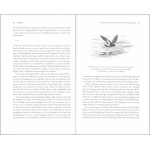 FAR FROM LAND. THE MYSTERIOUS LIVES OF SEABIRDS 3