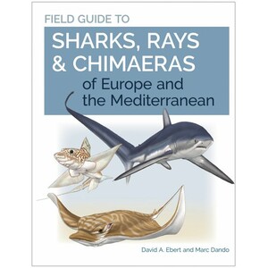 FIELD GUIDE TO SHARKS, RAYS AND CHIMAERAS OF EUROPE AND THE MEDITERRANEAN 1