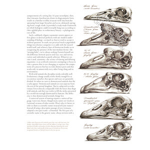 UNNATURAL SELECTION 3