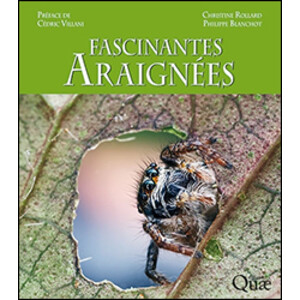 FASCINANTES ARAIGNÉES