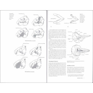 MAMMALOGY TECHNIQUES LAB MANUAL 2