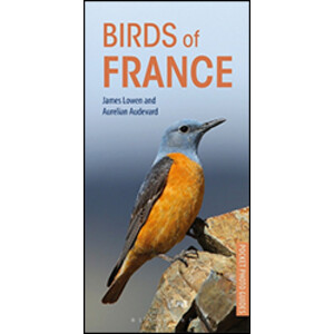 BIRDS OF FRANCE