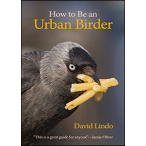 HOW TO BE AN URBAN BIRDER