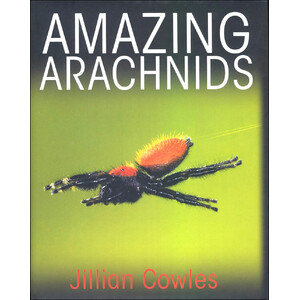AMAZING ARACHNIDS
