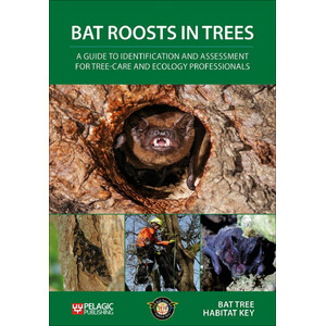 BAT ROOSTS IN TREES: A GUIDE TO IDENTIFICATION AND ASSESSMENT FOR TREE-CARE AND ECOLOGY PROFESSIONALS