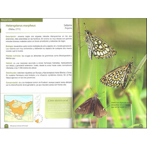 MARIPOSAS DIURNAS DE EUSKADI_1