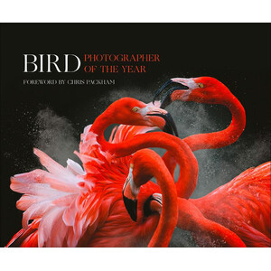 BIRD PHOTOGRAPHER OF THE YEAR. COLLECTION 3